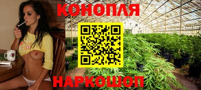 крисы Владивосток