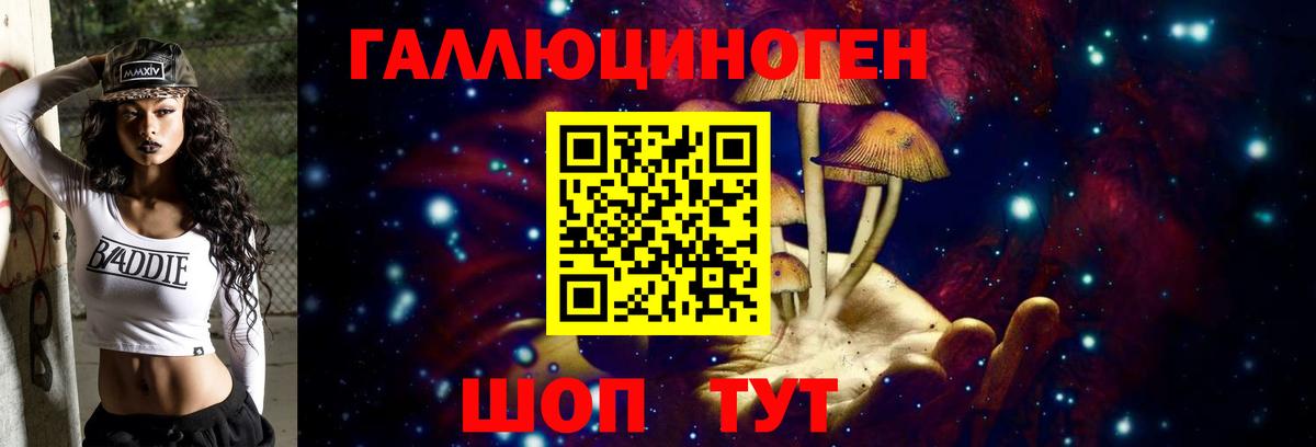 Белово  Псилоцибиновые грибы Psilocybine cubensis  Вход с VPN 